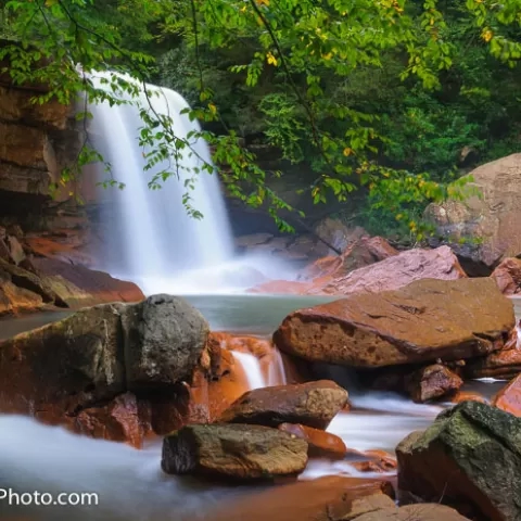 Douglas Falls North Fork Blackwater River - West Virginia