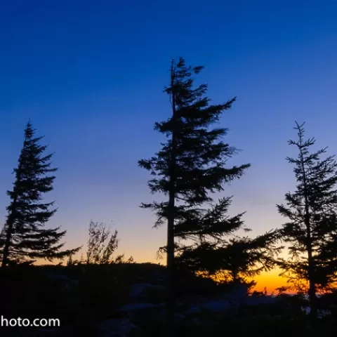 Bear Rocks Dolly Sods Wilderness West Virginia