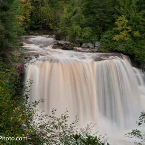 Blackwater Falls - Blackwater Falls State Park - West Virginia