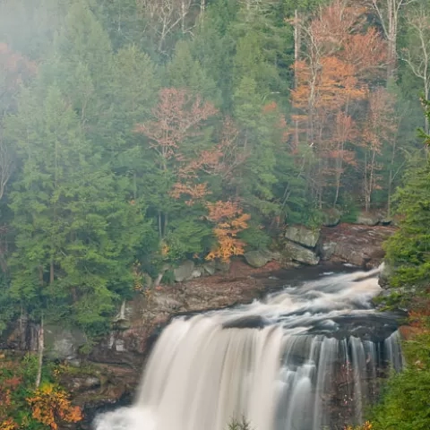 Blackwater Falls - Blackwater Falls State Park - West Virginia