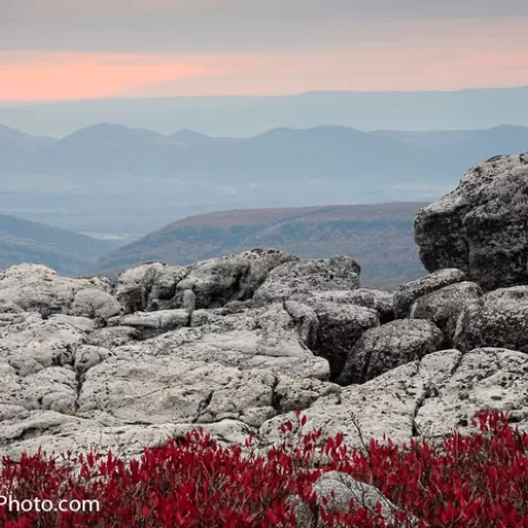 Dolly Sods Wilderness - West Virginia