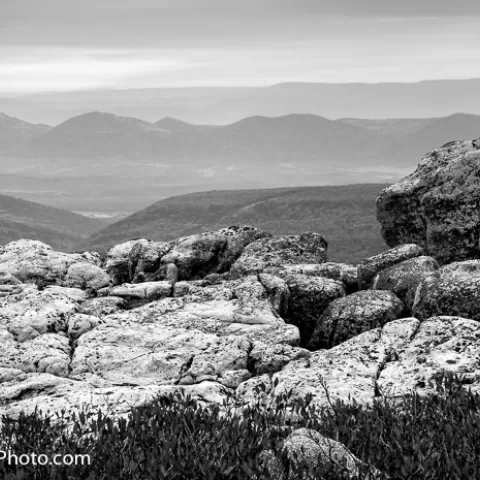 Dolly Sods Wilderness - West Virginia