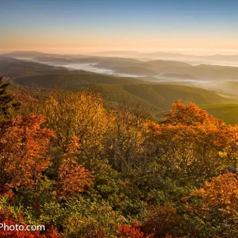 Dolly Sods Wilderness - West Virginia