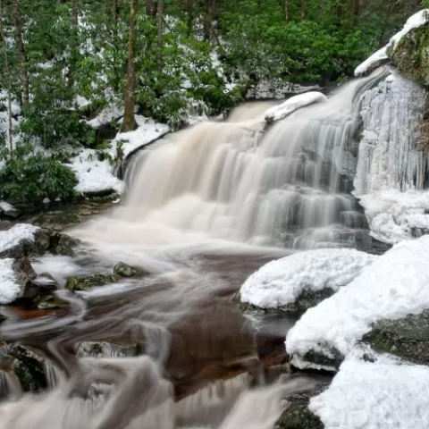 Elakala Falls #2 - Blackwater Falls State Park - West Virginia