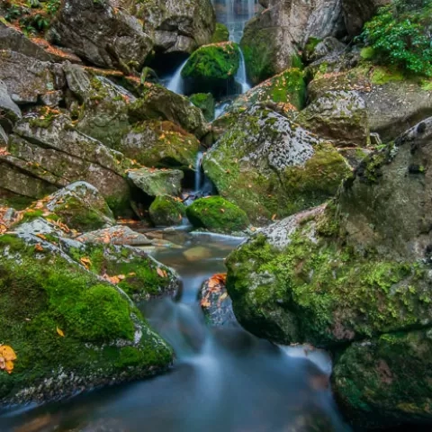 Elakala Falls #3 - Blackwater Falls State Park - West Virginia