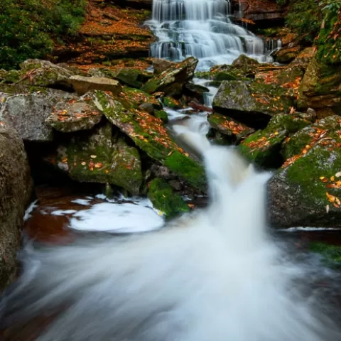 Elakala Falls #4 Blackwater Falls State Park West Virginia