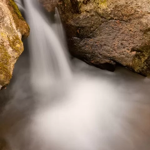 Glady Creek Marion County West Virginia