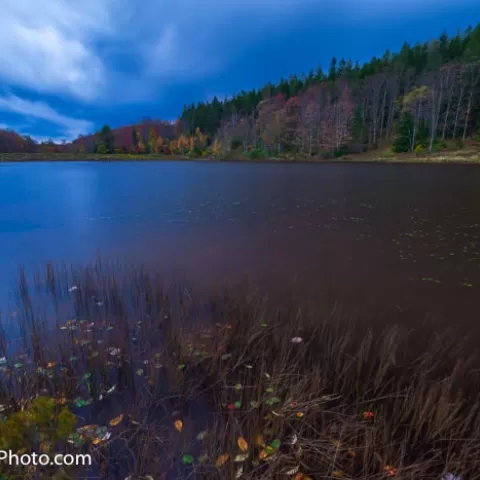 Pendleton Lake - Blackwater Falls State Park - West Virginia