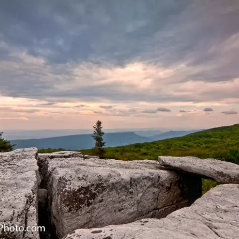 Bear Rocks Dolly Sods Wilderness - West Virginia