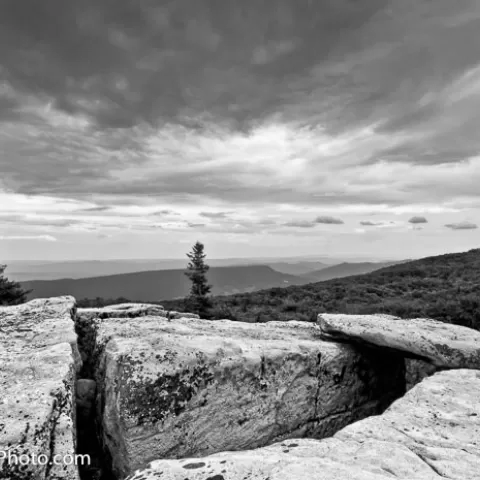 Bear Rocks Dolly Sods Wilderness - West Virginia