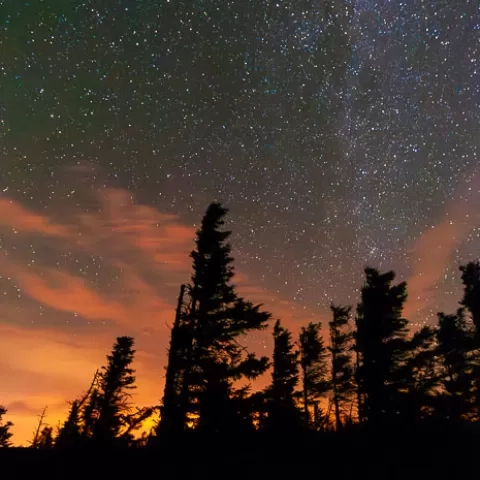 Bear Rocks Dolly Sods Wilderness West Virginia