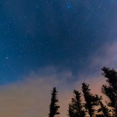 Dolly Sods Wilderness - West Virginia