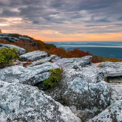 Bear Rocks Dolly Sods Wilderness - West Virginia