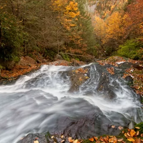 Elakala Falls #3 Blackwater Falls State Park West Virginia