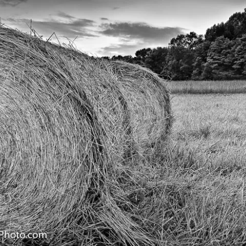 Hay Field, Paw Paw Morgan County - West Virginia