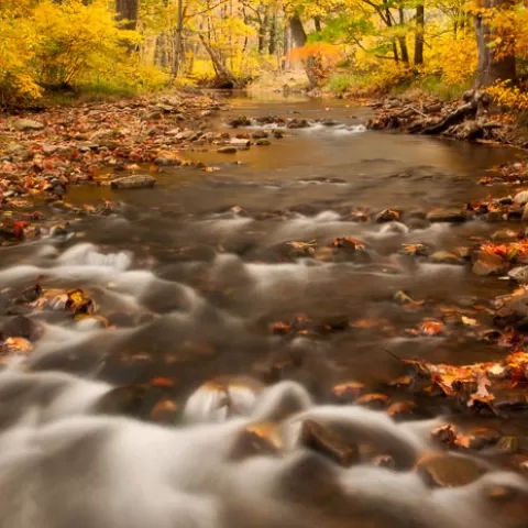 New Creek Mineral County - West Virginia