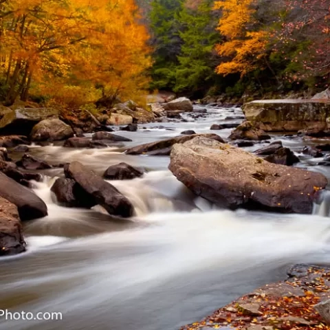 Youghiogheny River Swallow Falls State Park Maryland