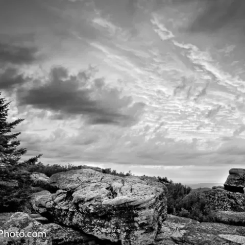 Bear Rocks Dolly Sods Wilderness - West Virginia Black and White