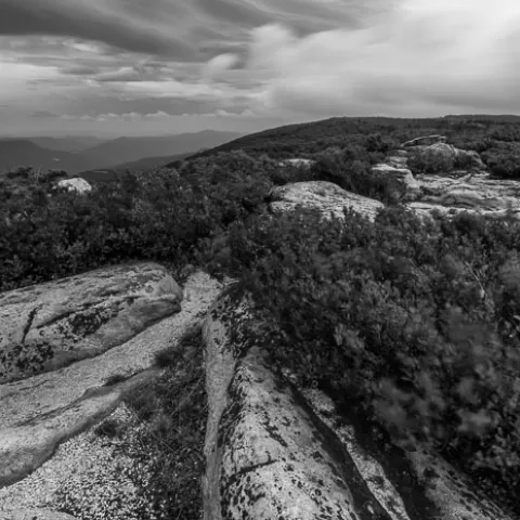 Dolly Sods Wilderness - West Virginia