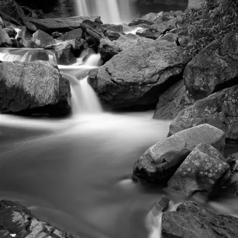 Douglas Falls North Fork Blackwater River- West Virginia Black and White