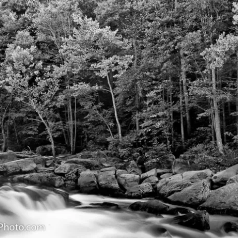 Valley Falls State Park West Virginia Black and White