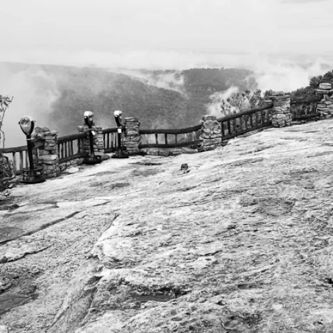 Fog at Coopers Rock