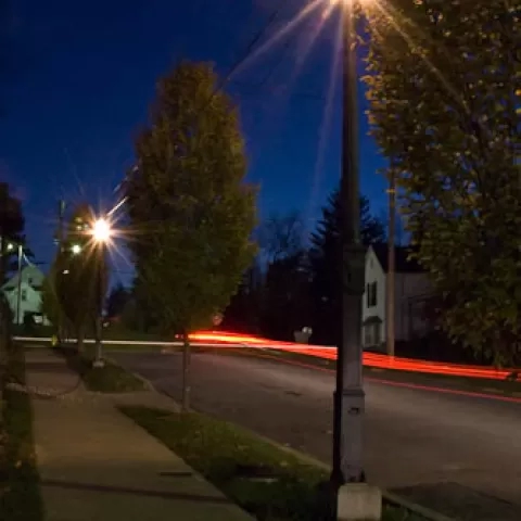 Walnut at Night