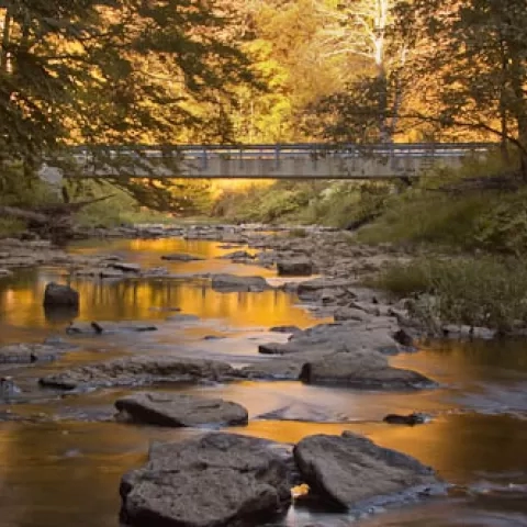 Pricketts Creek Bridge