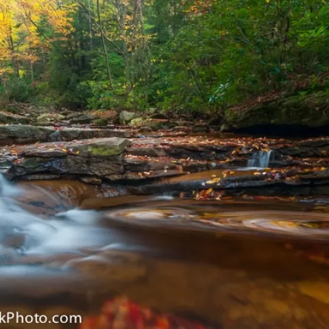 Red Run Canaan Valley - West Virginia