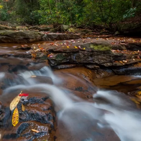 Red Run Canaan Valley - West Virginia